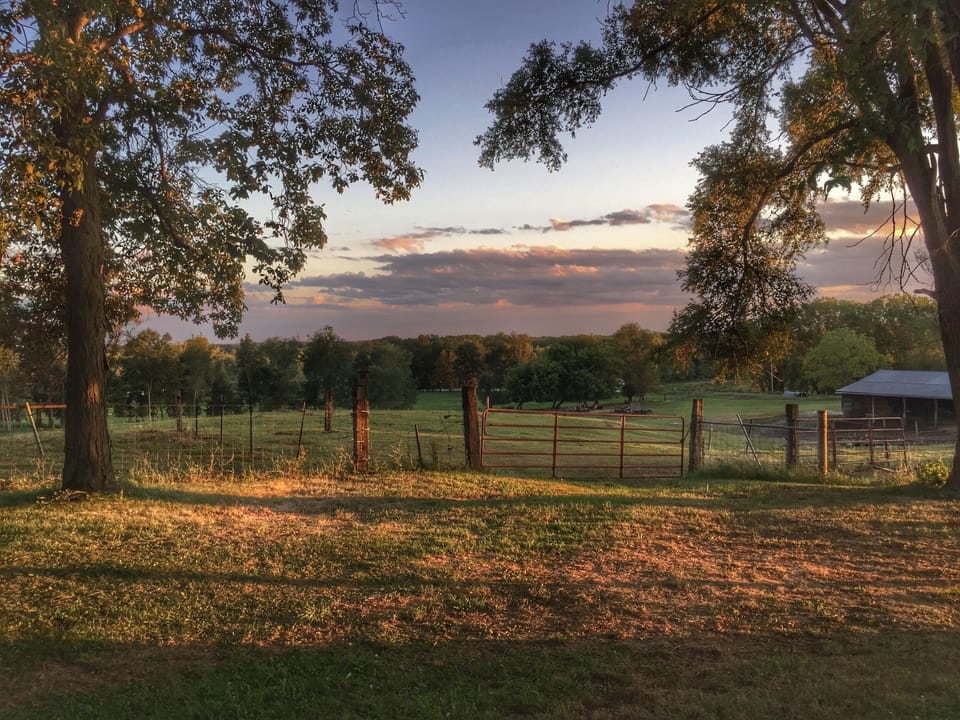 view from the deck for year around enjoyment 