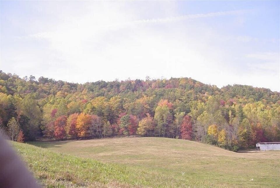 View from Driveway
