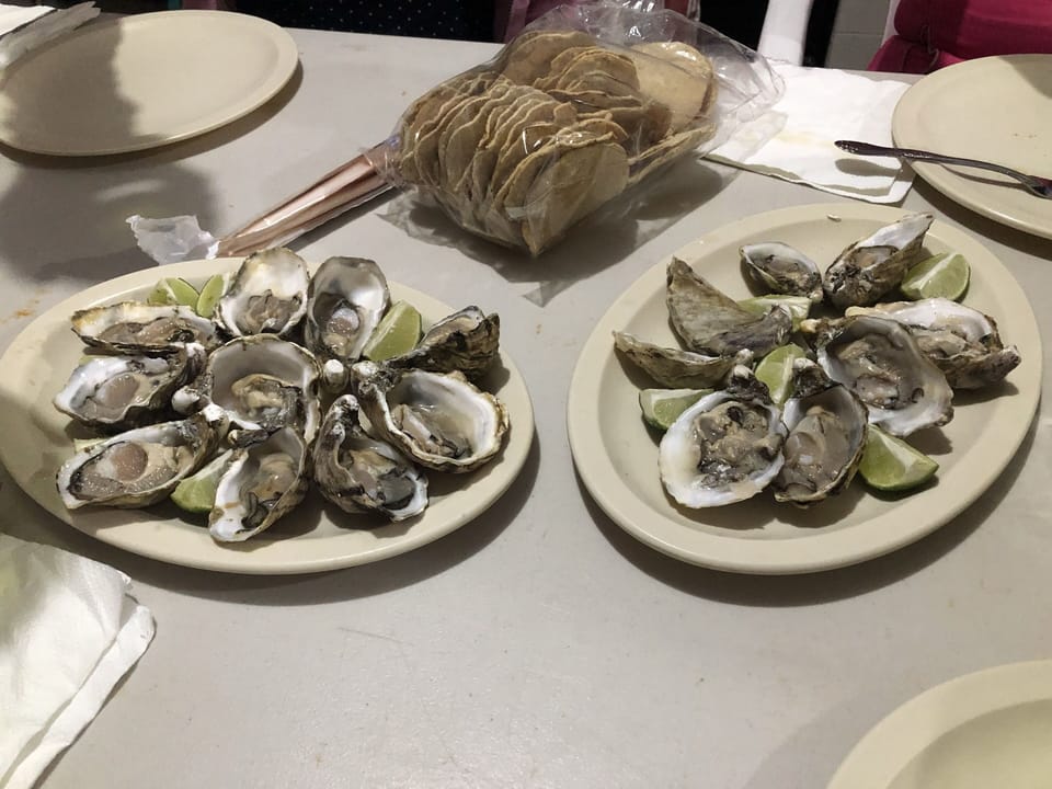 local oysters