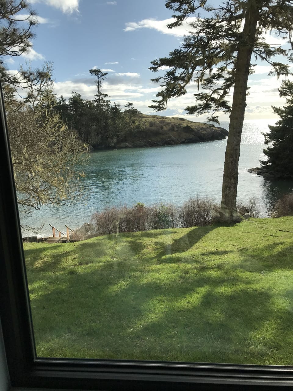 view from the yard