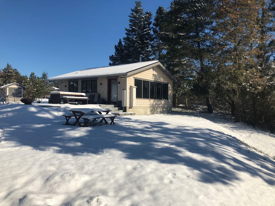 Winter yard