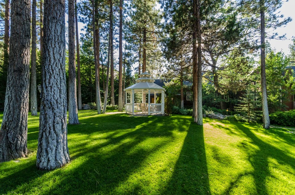 Beautiful landscaped backyard