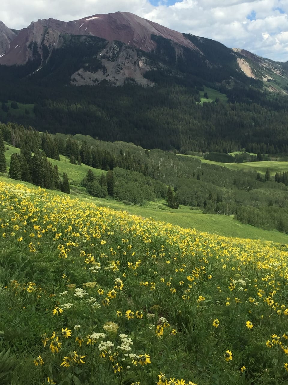 Hiking during wildflower season!