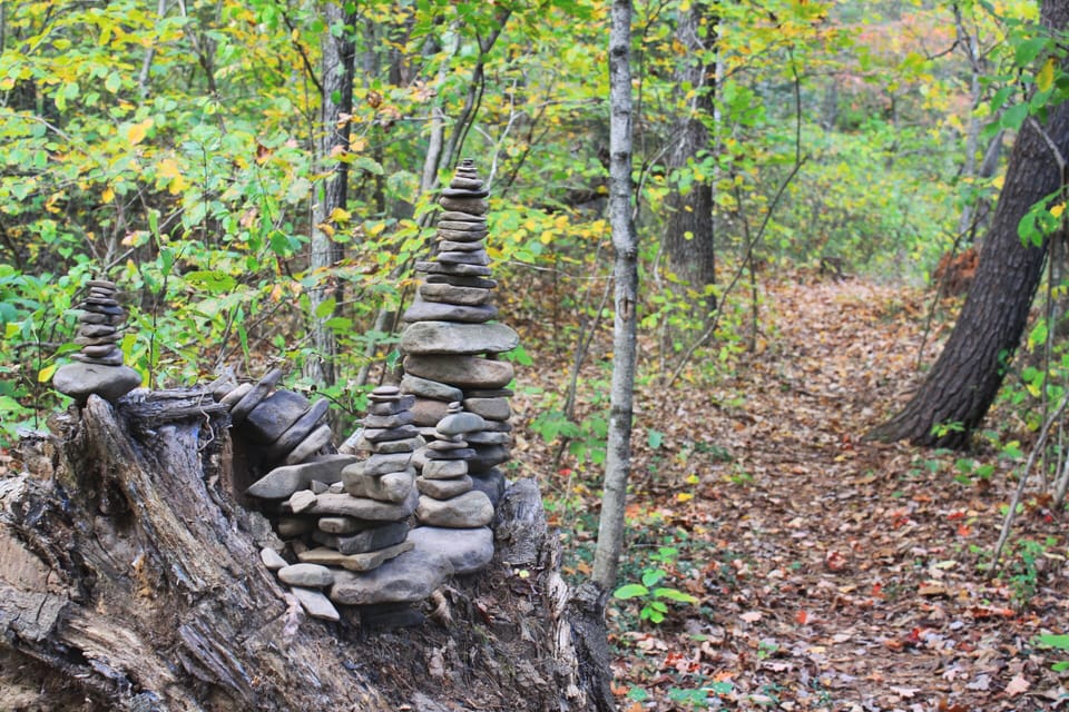 The nature trail
