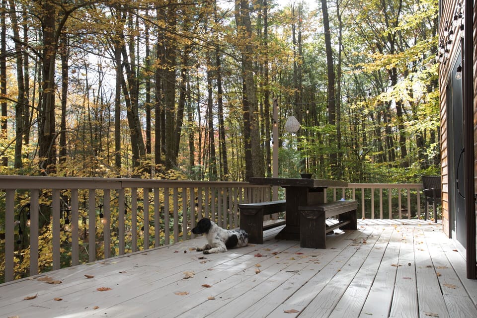 Outdoor table seats at least 8 comfortably.