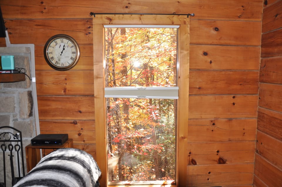 Open up the top down and bottom up blinds to see the beautiful trees all around