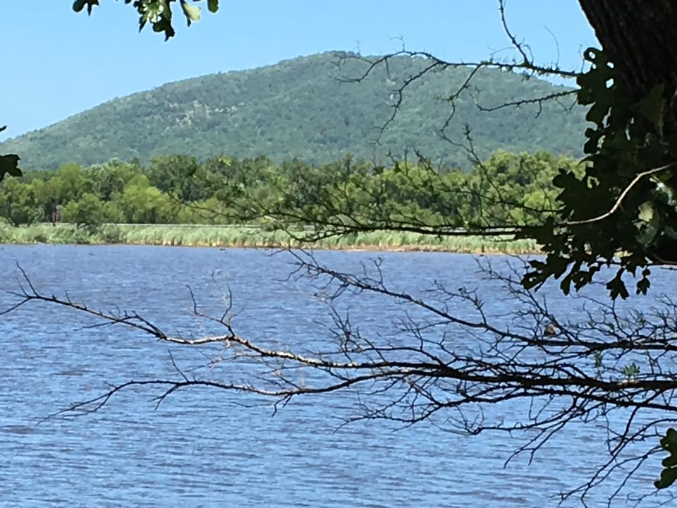 From the boat ramp across the road