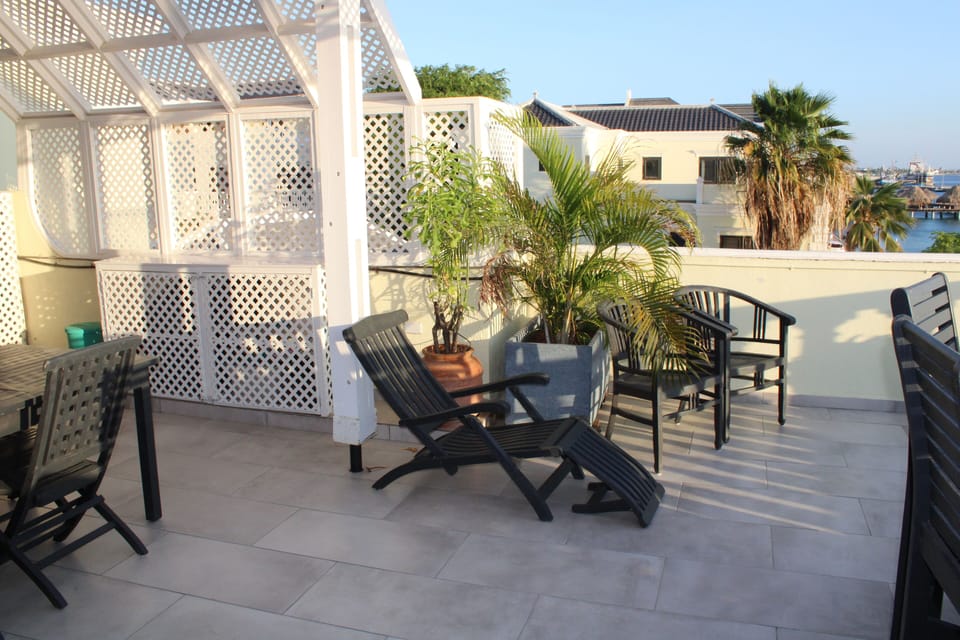 Shade and privacy on the patio , even a palm "tree". 