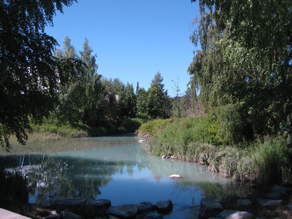 A pretty spot on the Montebello property just a few steps from our door.