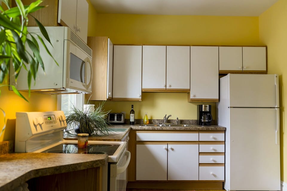 A fully stocked bright kitchen