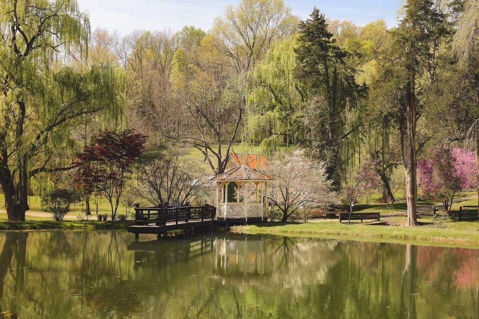 Spotswood Lodge Gazebo & Pond