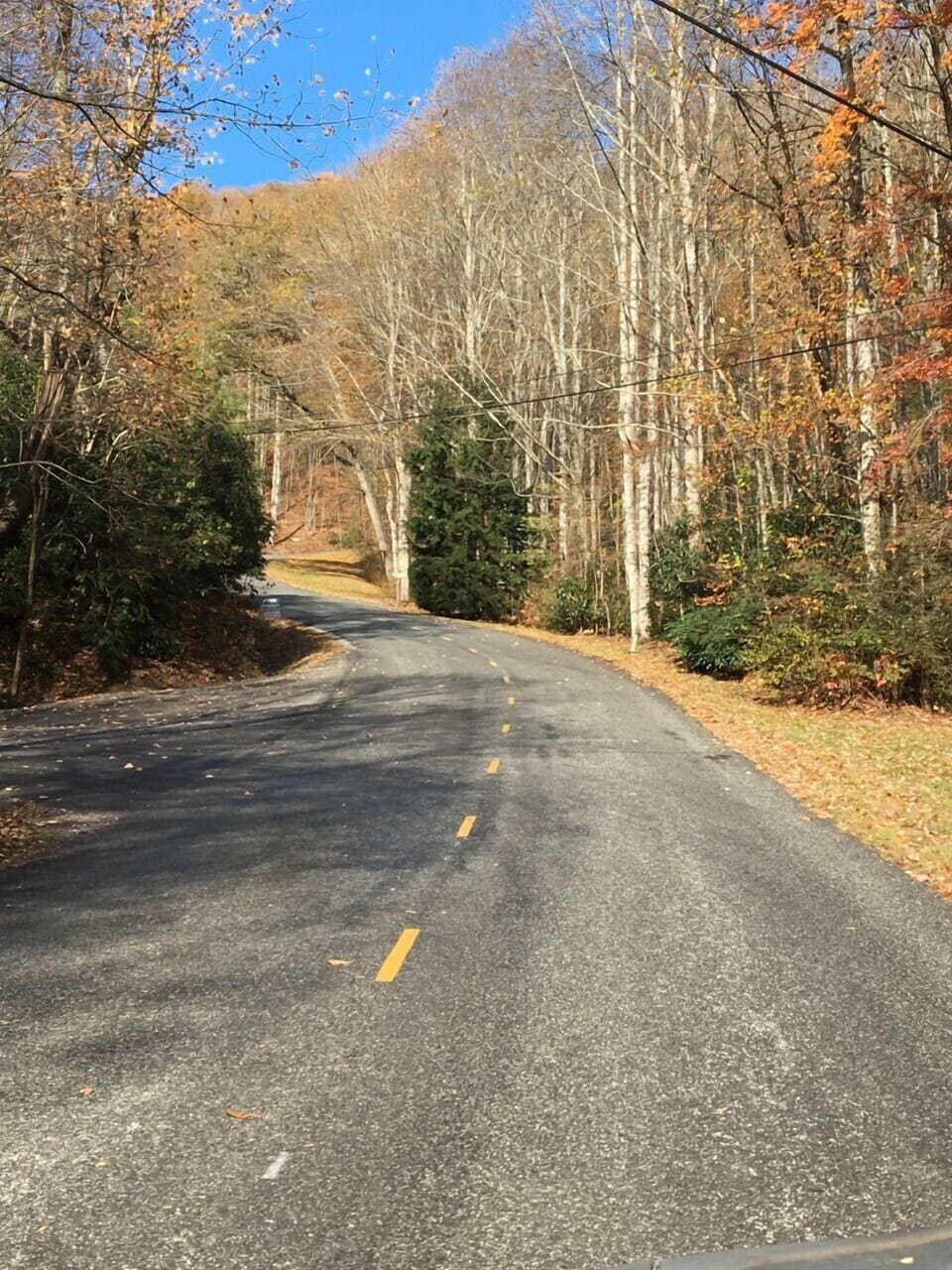 Road to the Chalet Photo taken October 2024