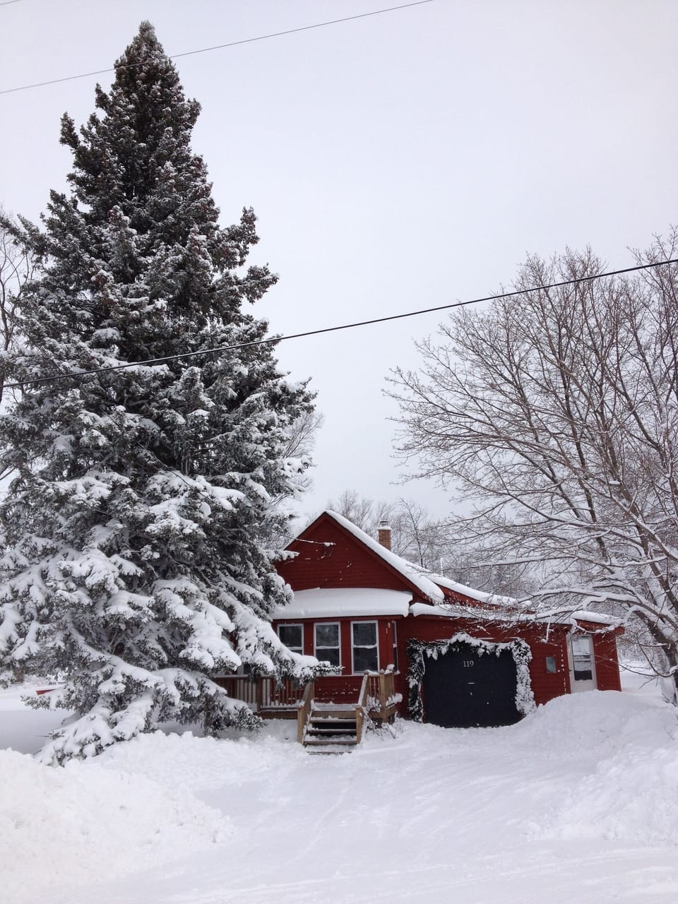 Winter Wonderland!