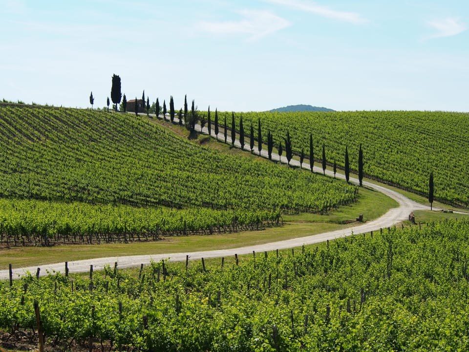 Scenery around the Villa