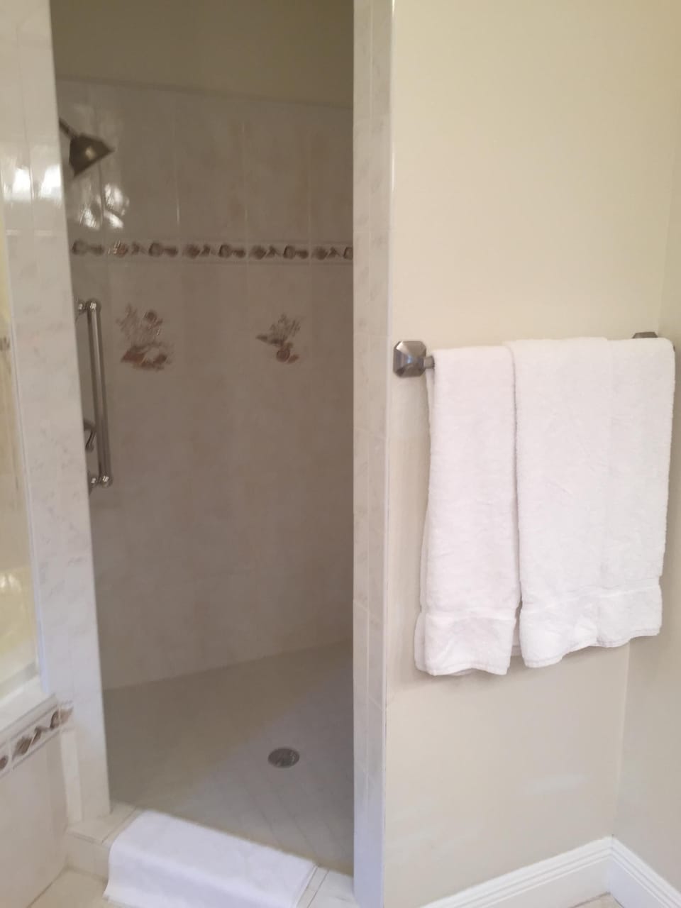 Master bath walk in shower.
