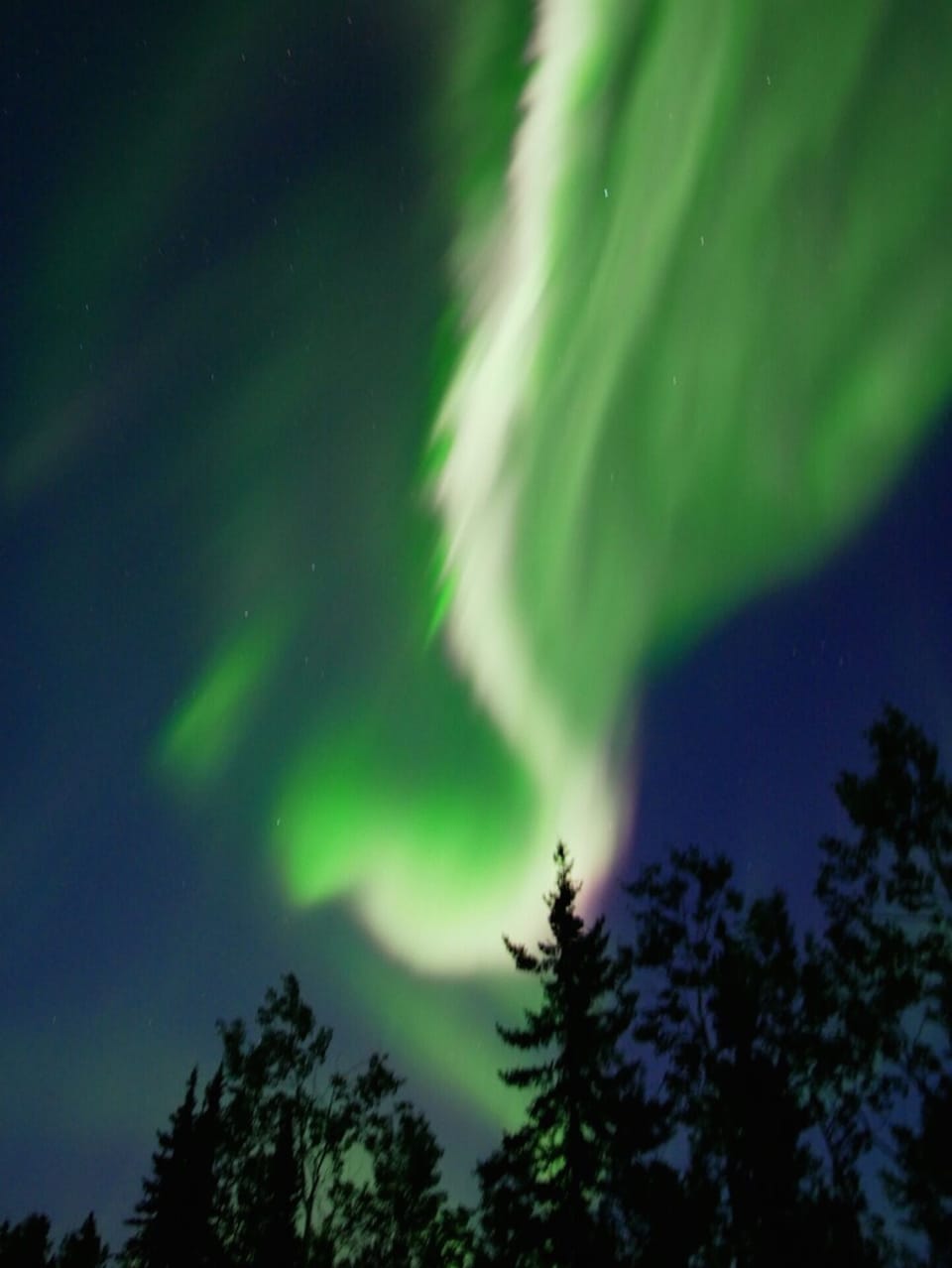 Northern lights captured from the property 