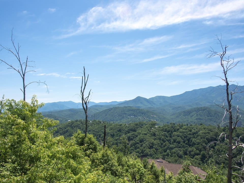 Gatlinburg Mountain View