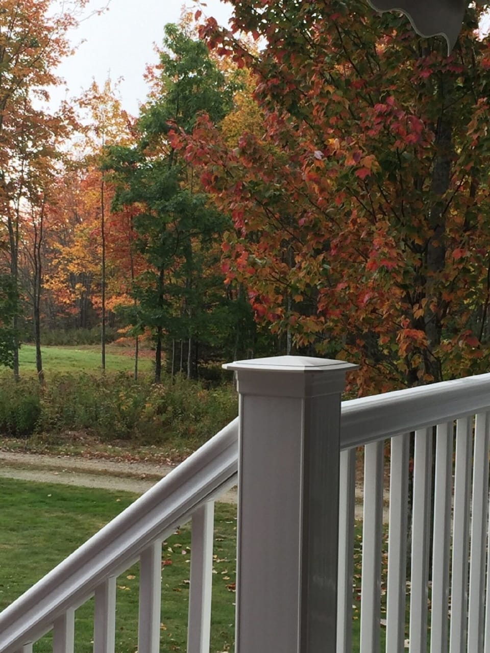 Fall foliage from the apartment deck