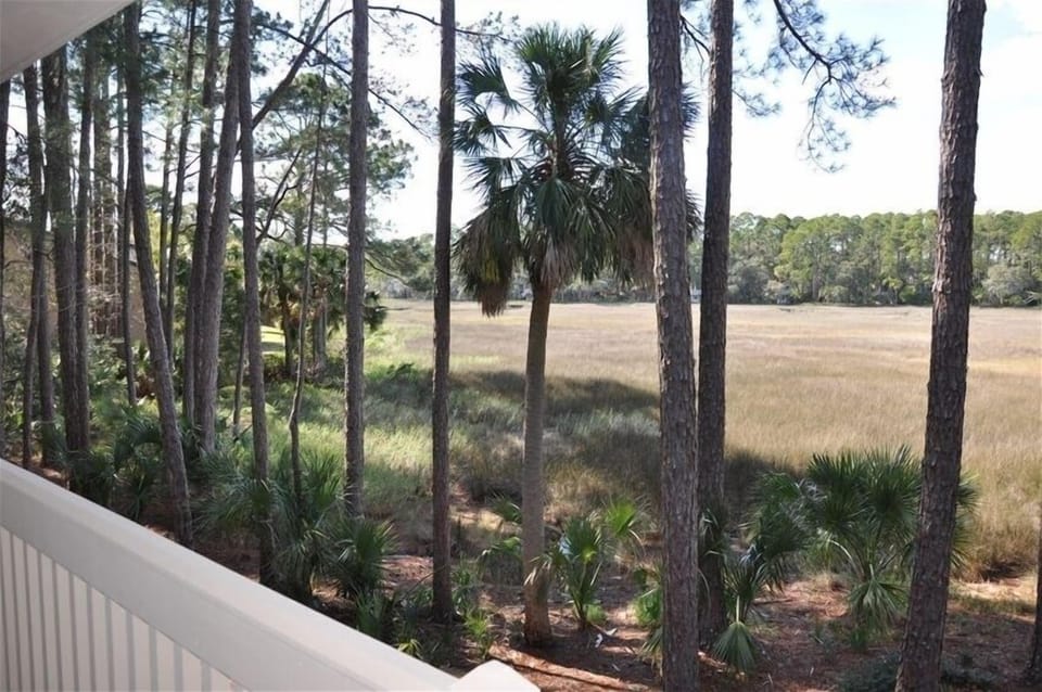 Marsh view from balcony of master bedroom