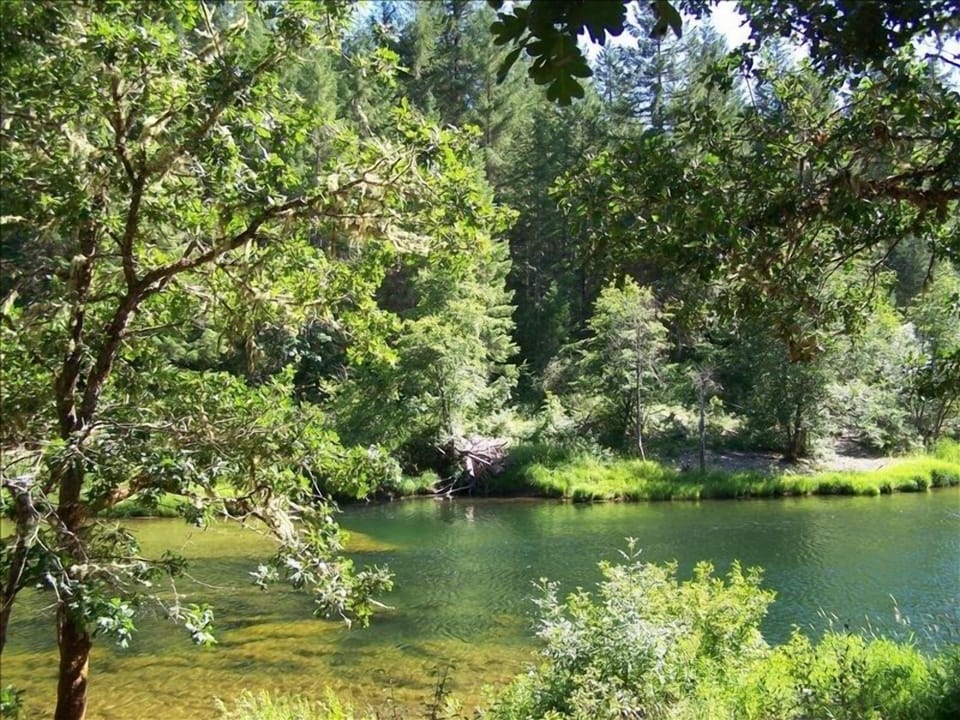 River view 