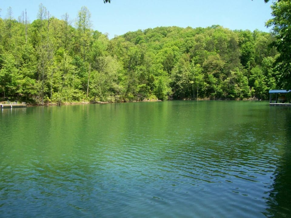 Cove View from the dock