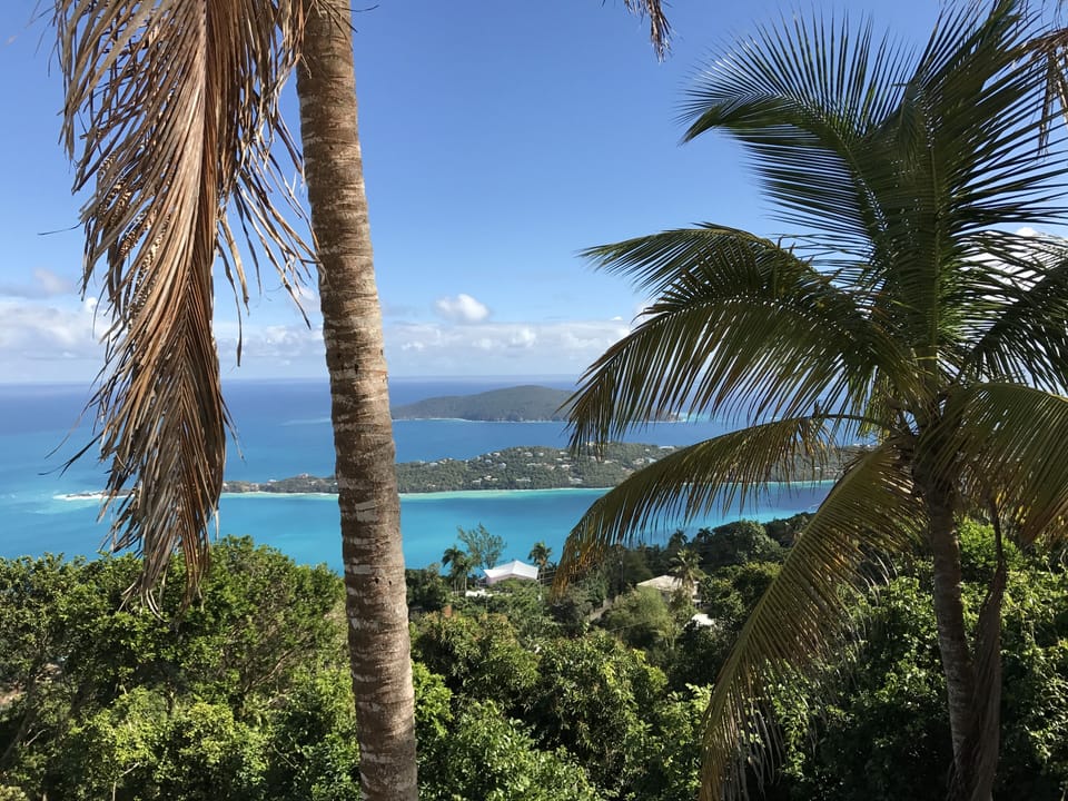 Enjoy the soothing sounds of the fresh tropical breeze through the varied palm 