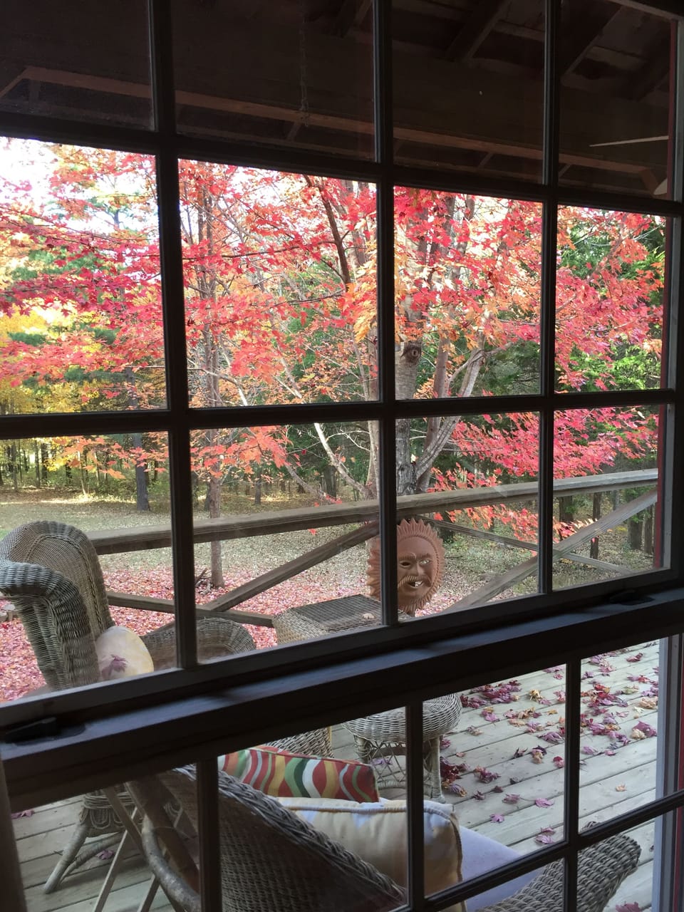 View from the Master Bedroom