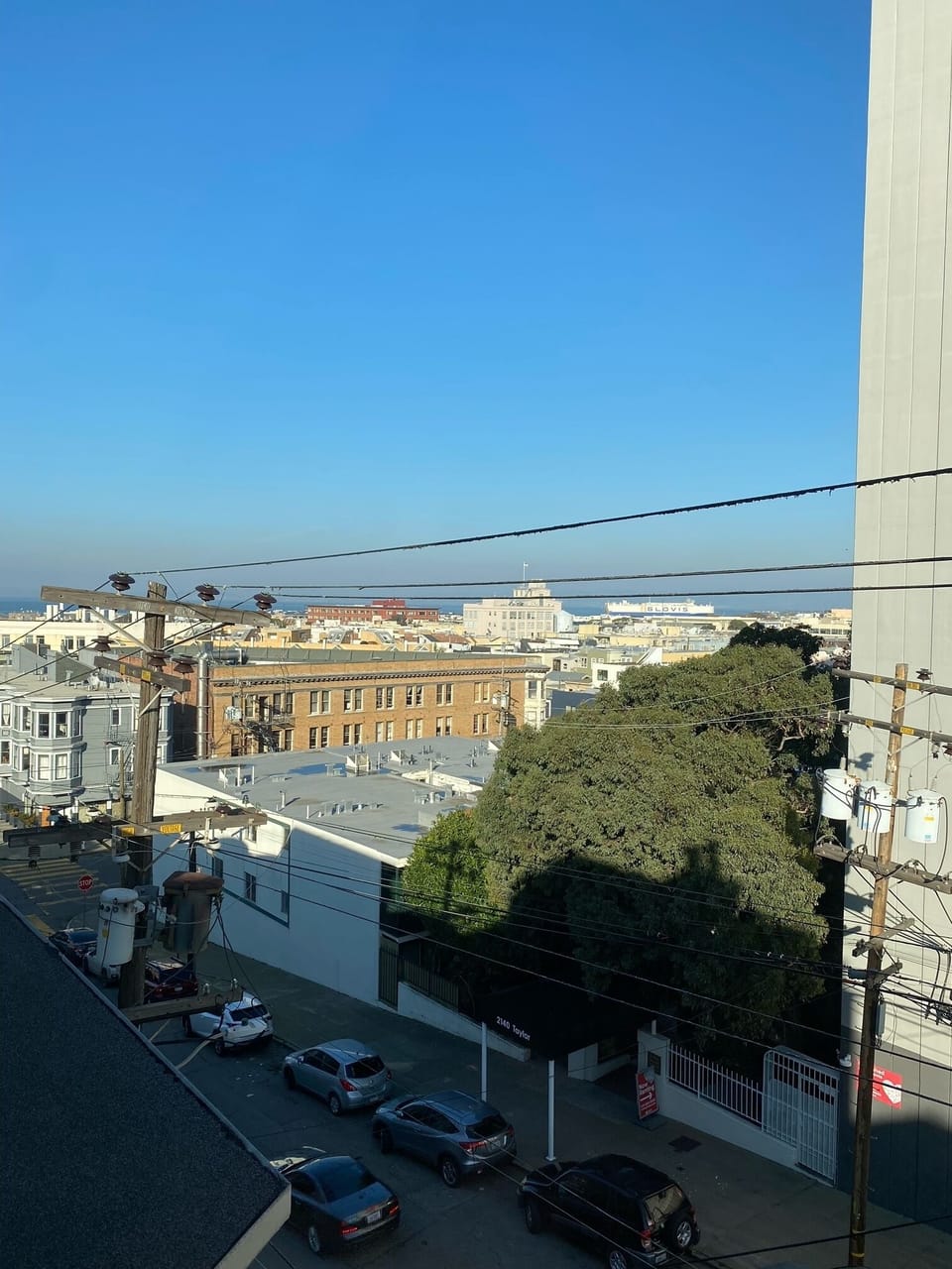 view from dining room