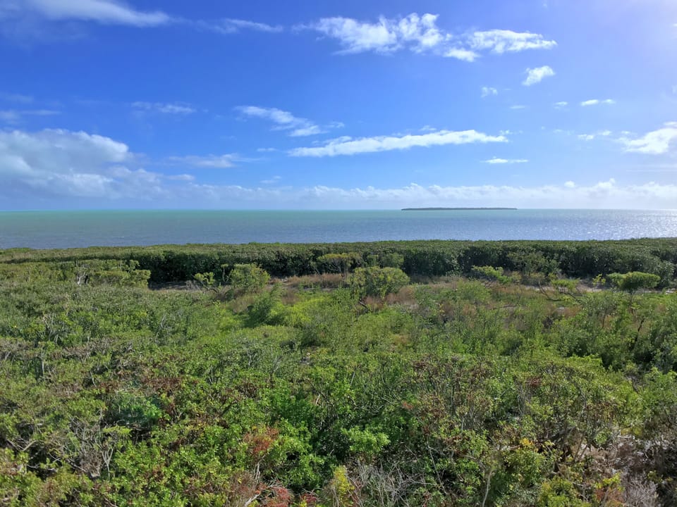 View from Unit