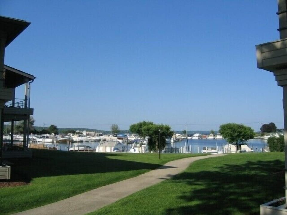 The Harbor
