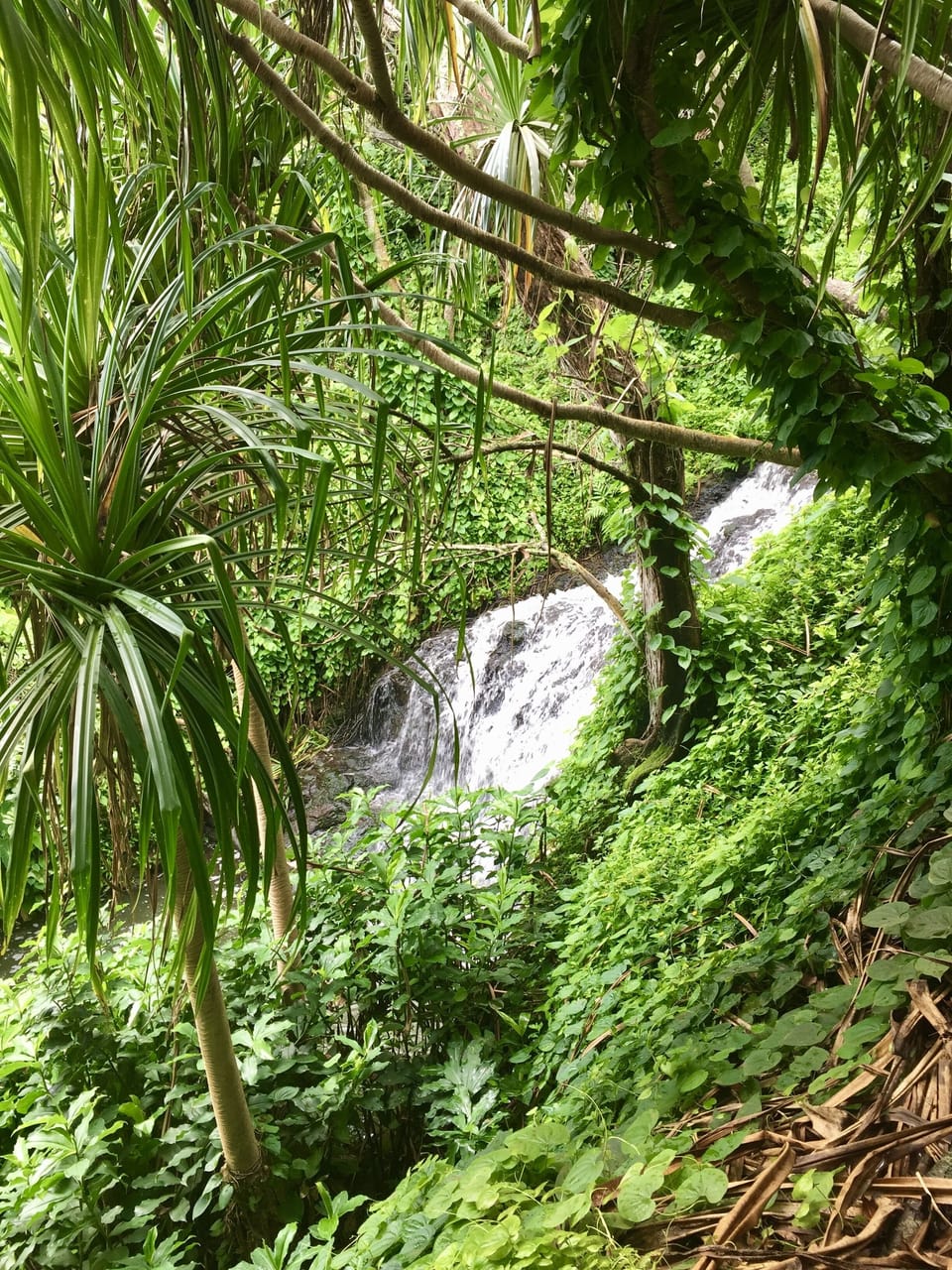 TO DO: Hike the scenic route into Queen's Bath.