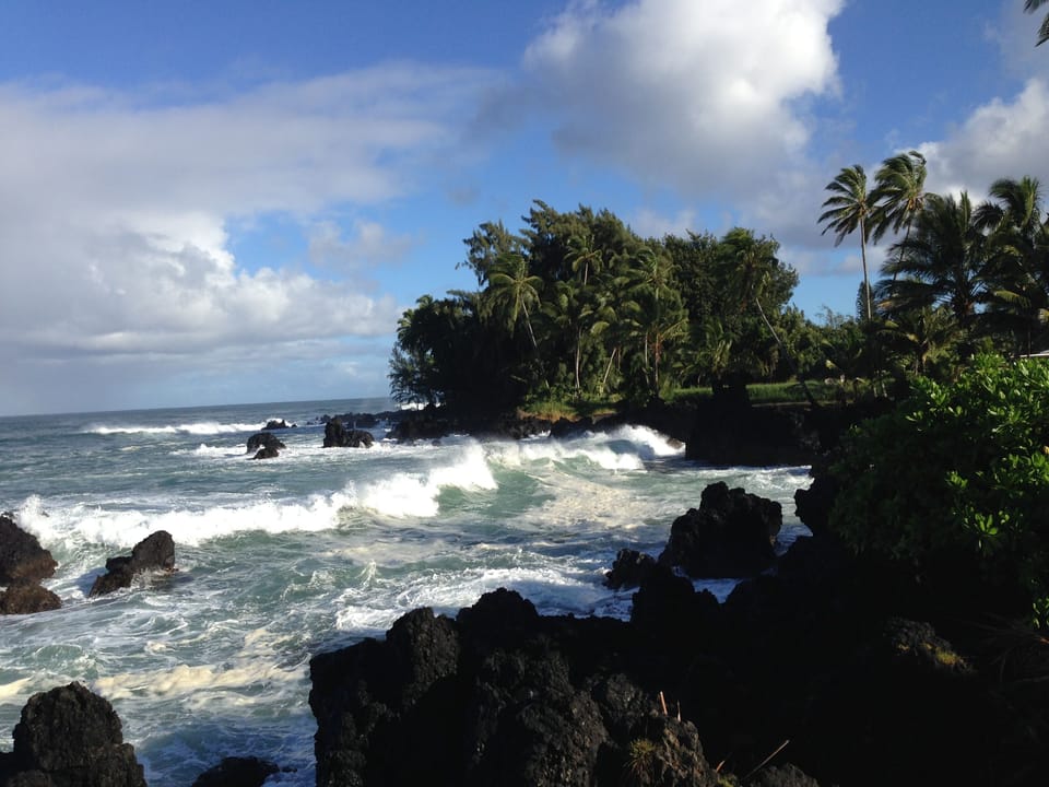 Road to Hana view
