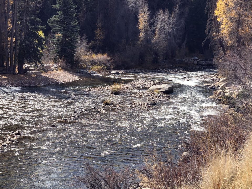 Along the Roaring Fork river next to the Rio Grande Trail.