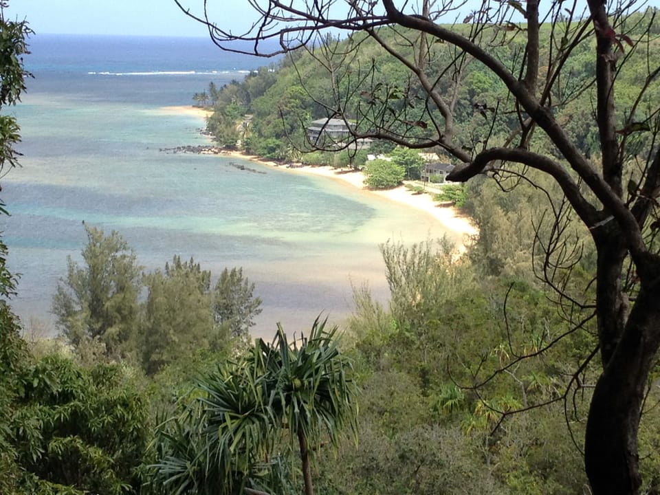 Walk across the golf course & down to Anini Beach, a great spot for snorkeling.