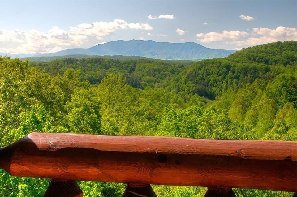 Deck View