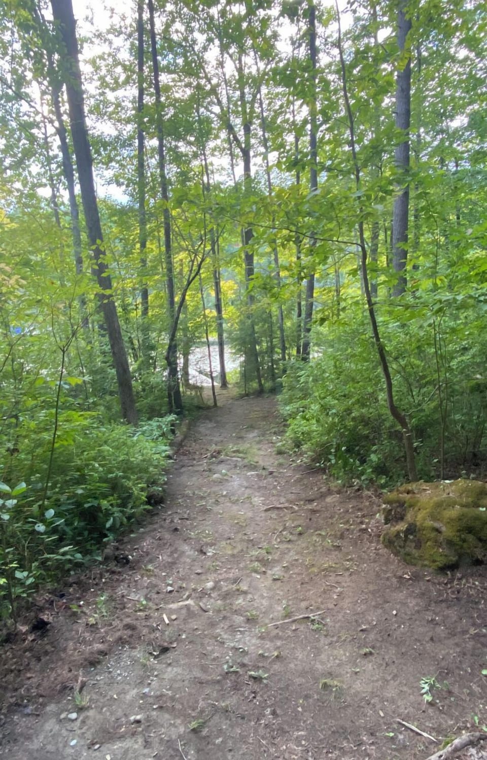 Wide (semi rough terrain) path down to the private dock. 