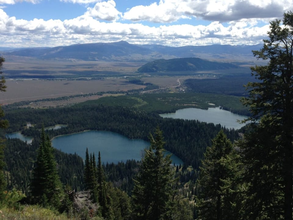Lupine Meadows trail