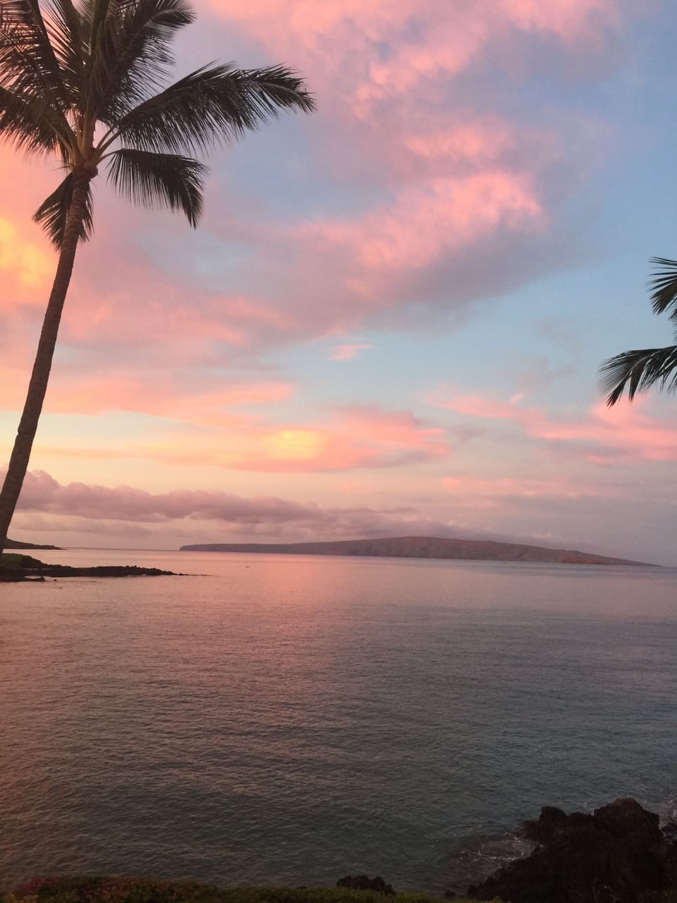 View from the lanai. 
