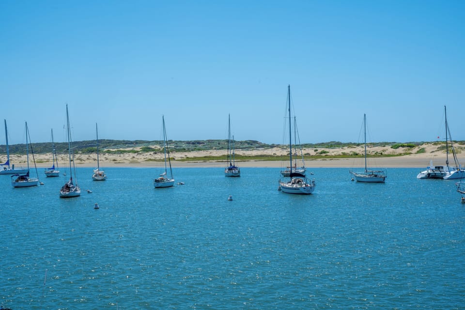 Harbor Views await