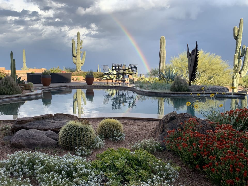 rainbow poolside