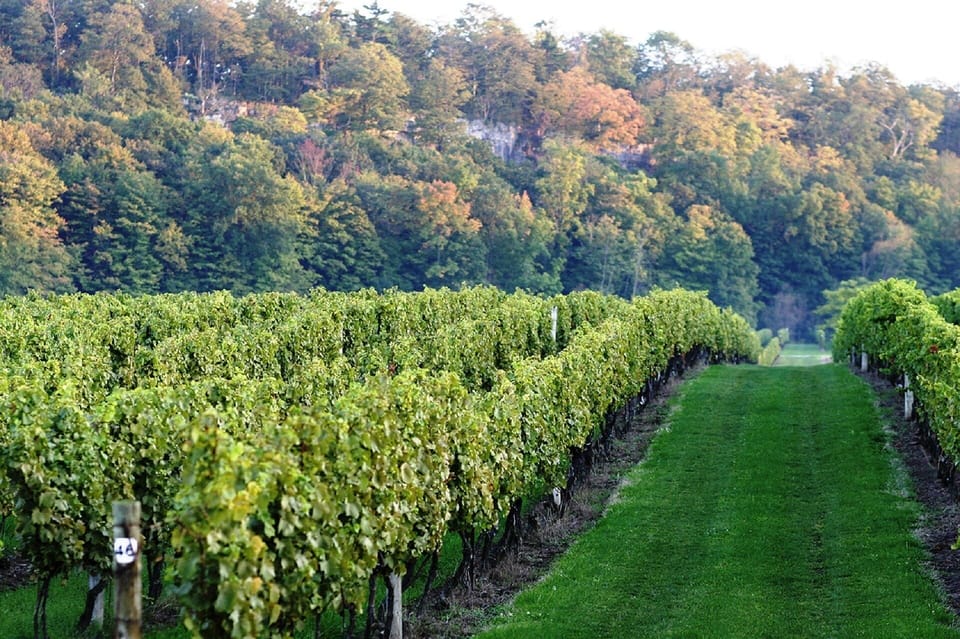 Cross over the Welland Canal Lock 1, and you'll be in wine country!