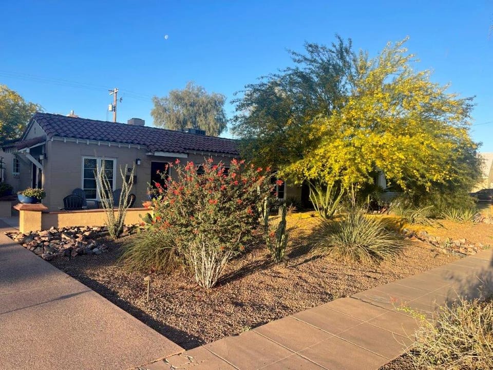 Front of charming home from the driveway featuring many Arizona native plants.