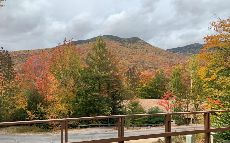 View from the deck in Fall.
