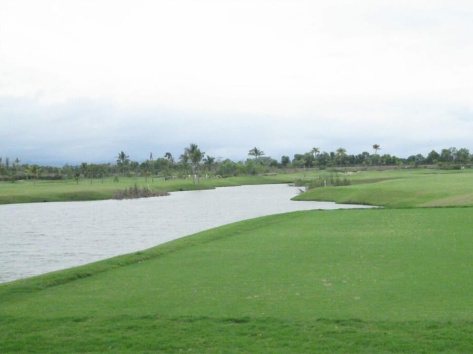 On the Back Nine