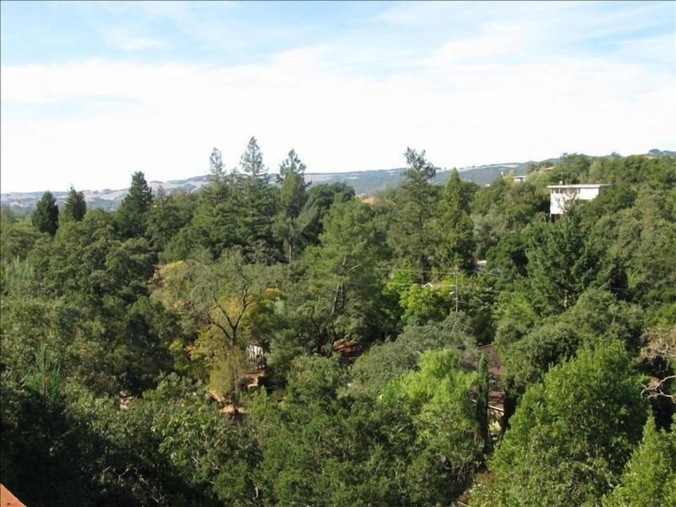 Surroundings from the top deck – looking south-west. 