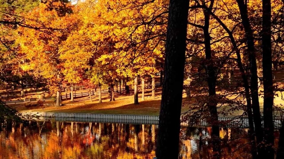 Fall at the Ranch