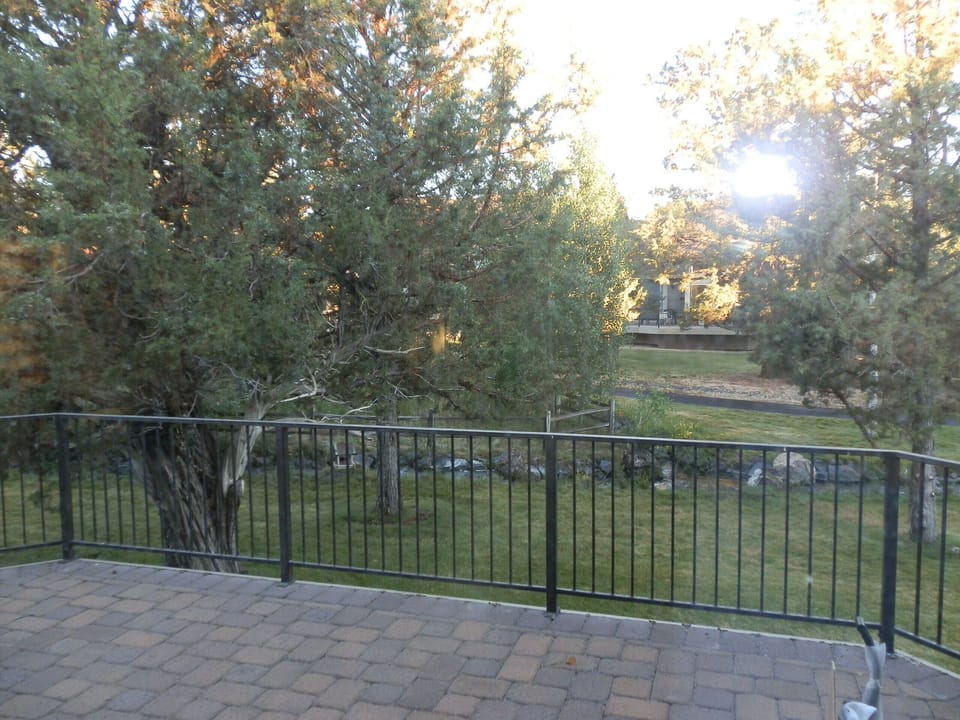 Looking out on the creek