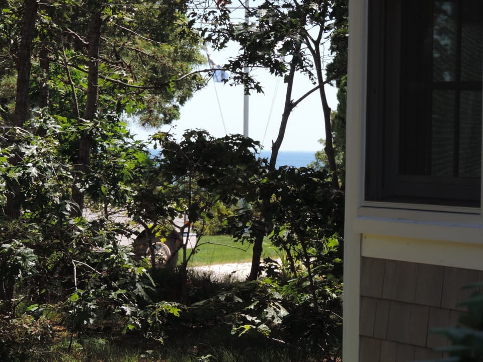 Distant summer water view from side of house.