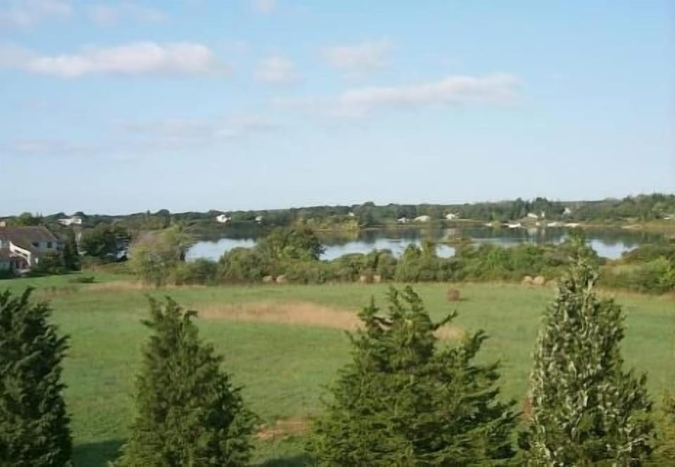 Deck View