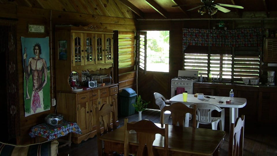 Kitchen View